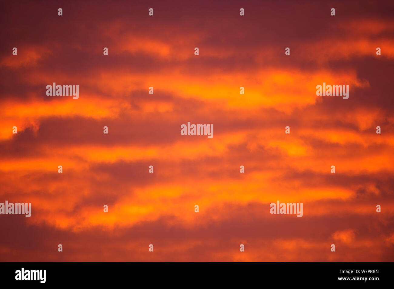Coucher du soleil Ciel avec nuages. Le sud de l'Estonie, janvier 2011. Banque D'Images
