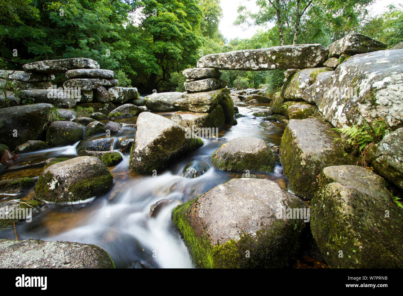 Clapper bridge fabriqués à partir de plaques de granit qui franchit la rivière Dart à Dartmeet, Dartmoor National Park, Devon, UK. Le pont date probablement de l'époque médiévale et il a été reconstruit plusieurs fois après les dommages par inondation. Le pont aujourd'hui n'a que deux travées complètes, Octobre 2012 Banque D'Images