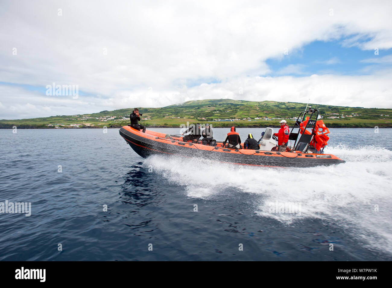 Des plongeurs le zodiac voyager au lieu de plongée, l'île de Pico, Açores, Portugal, Océan Atlantique Banque D'Images