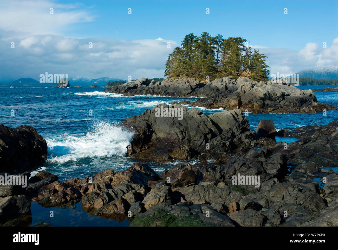 Îles Rocheuses près de Sitka, en Alaska. Photographie prise sur l'emplacement pour la série TV de la BBC "Nature's Great Events', mars 2008. Banque D'Images