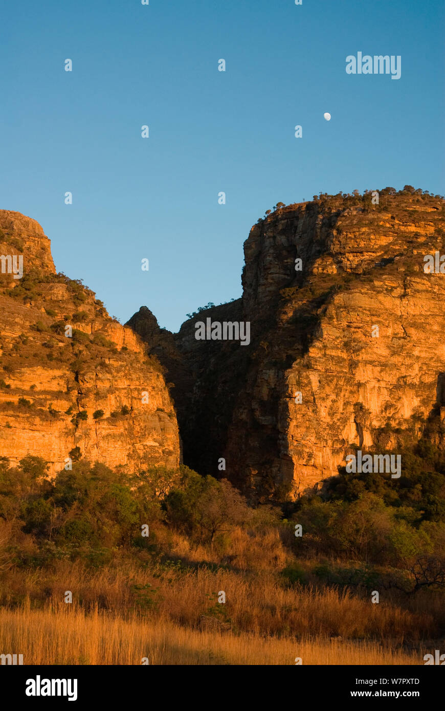 Canyon des makis , Parc National d'Isalo, Madagascar. Photographie prise sur l'emplacement pour BBC 'Wild Madagascar' Série, Septembre 2009 Banque D'Images