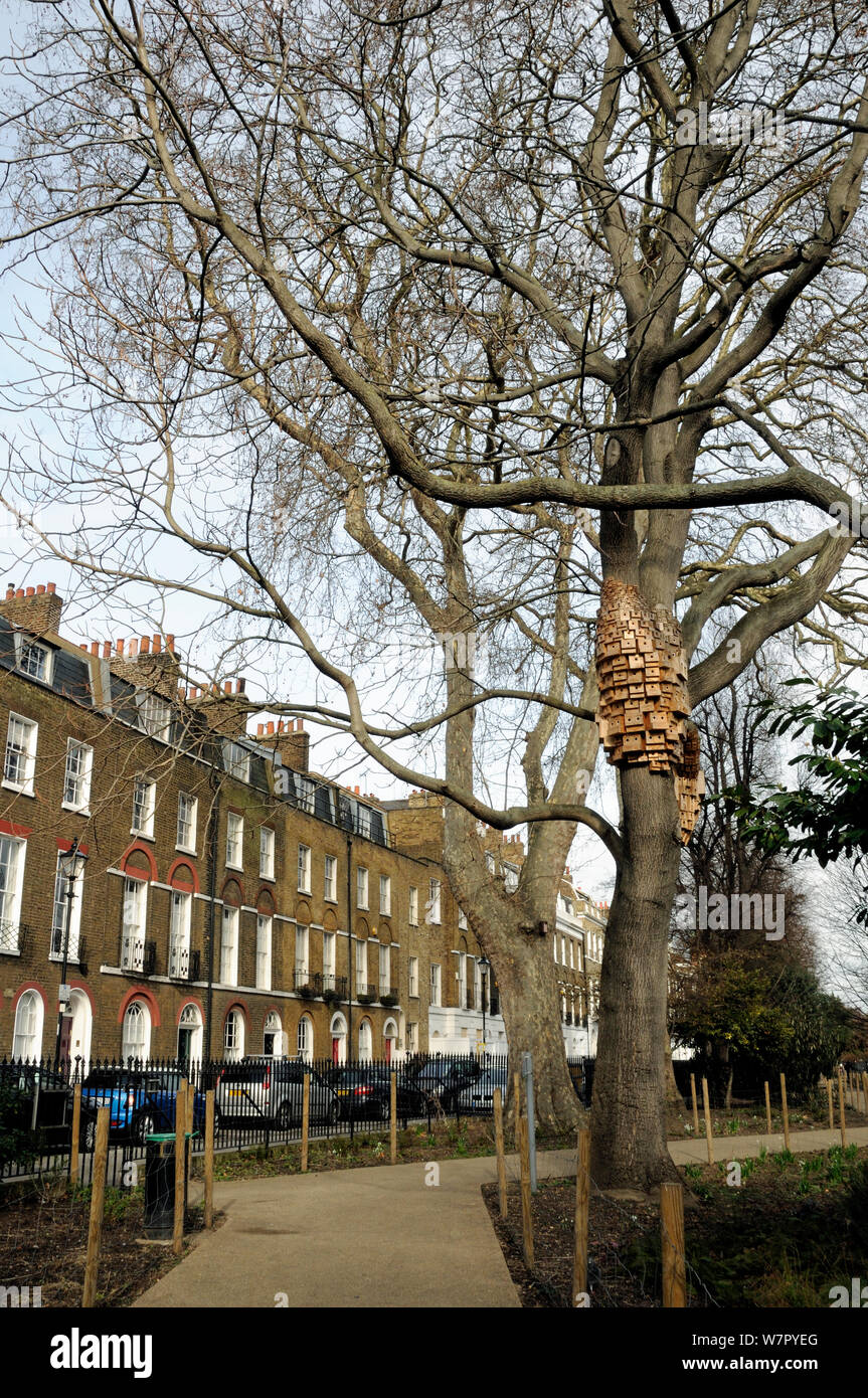 Plus de 250 boîtes d'oiseaux et de bug, une installation sculpturale appelé Sponanteous City, dans un arbre du Ciel (Ailanthus altissima) Duncan Terrace Gardens, district londonien d'Islington, England, UK Banque D'Images