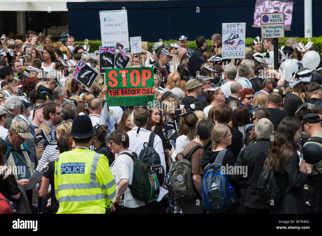 Des groupes de personnes et d'agent de police à l'abattage du blaireau mars, Londres, 1er juin 2013 Banque D'Images