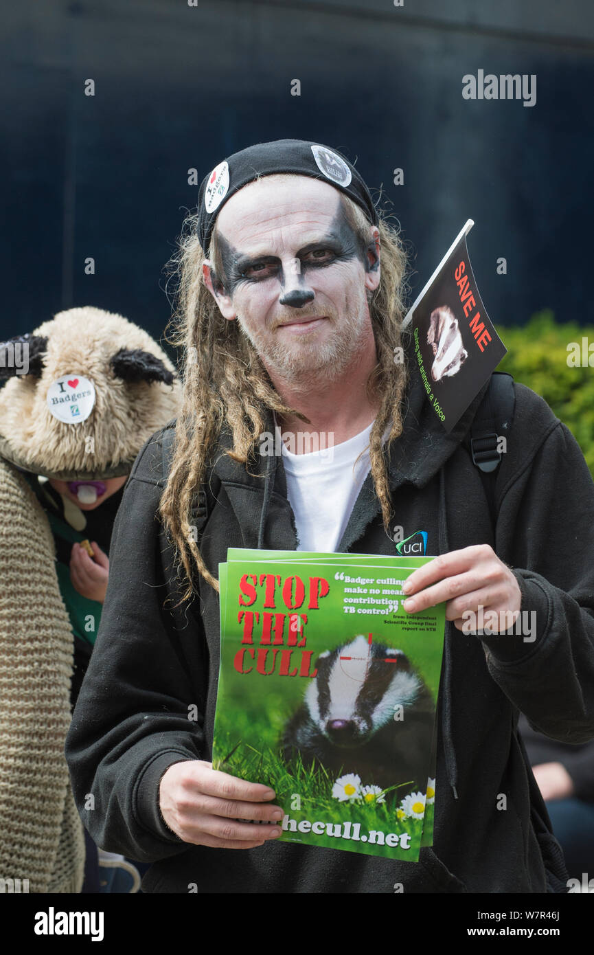Homme avec Badger facepaint, holding de dépliants qui dire 'Stop', à l'abattage abattage anti bager, mars 1er juin 2013. Utilisez uniquement éditoriale Banque D'Images