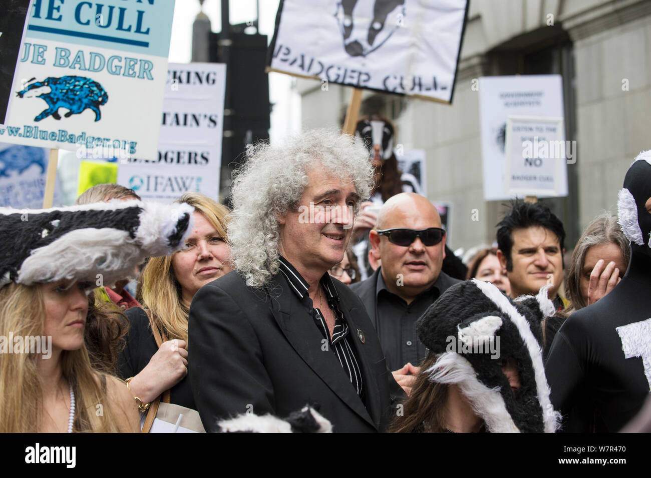 Rock Star et activiste Brian May mène à badger marcheurs anti réforme, mars 2013 Londres le 1er juin. Banque D'Images