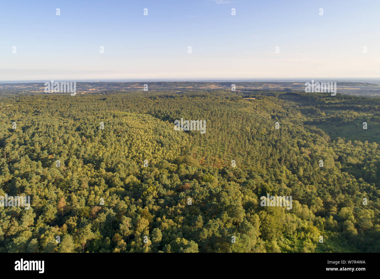 Vue aérienne de l'autre côté de la campagne du Surrey de leith hill sur les collines du Surrey près de Dorking surrey Banque D'Images