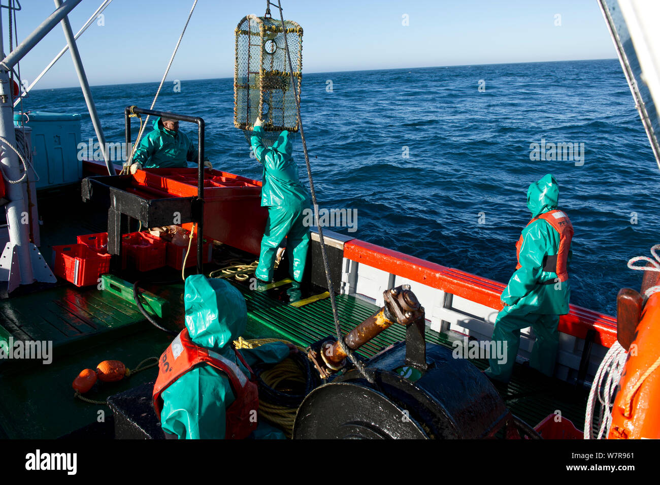 La pêche de la côte ouest de la langouste (Jasus lalandii) à bord du James Archer (Oceana fisheries) à Saldanha Bay et St. Helena Bay, Western Cape, Afrique du Sud. Banque D'Images