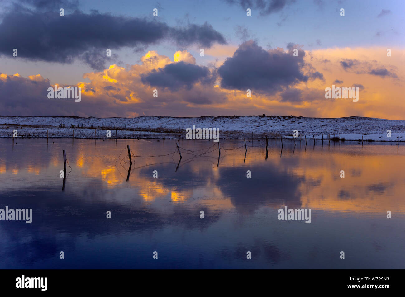 Les marais inondés au pâturage en hiver, Salthouse Norfolk, Janvier 2013 Banque D'Images