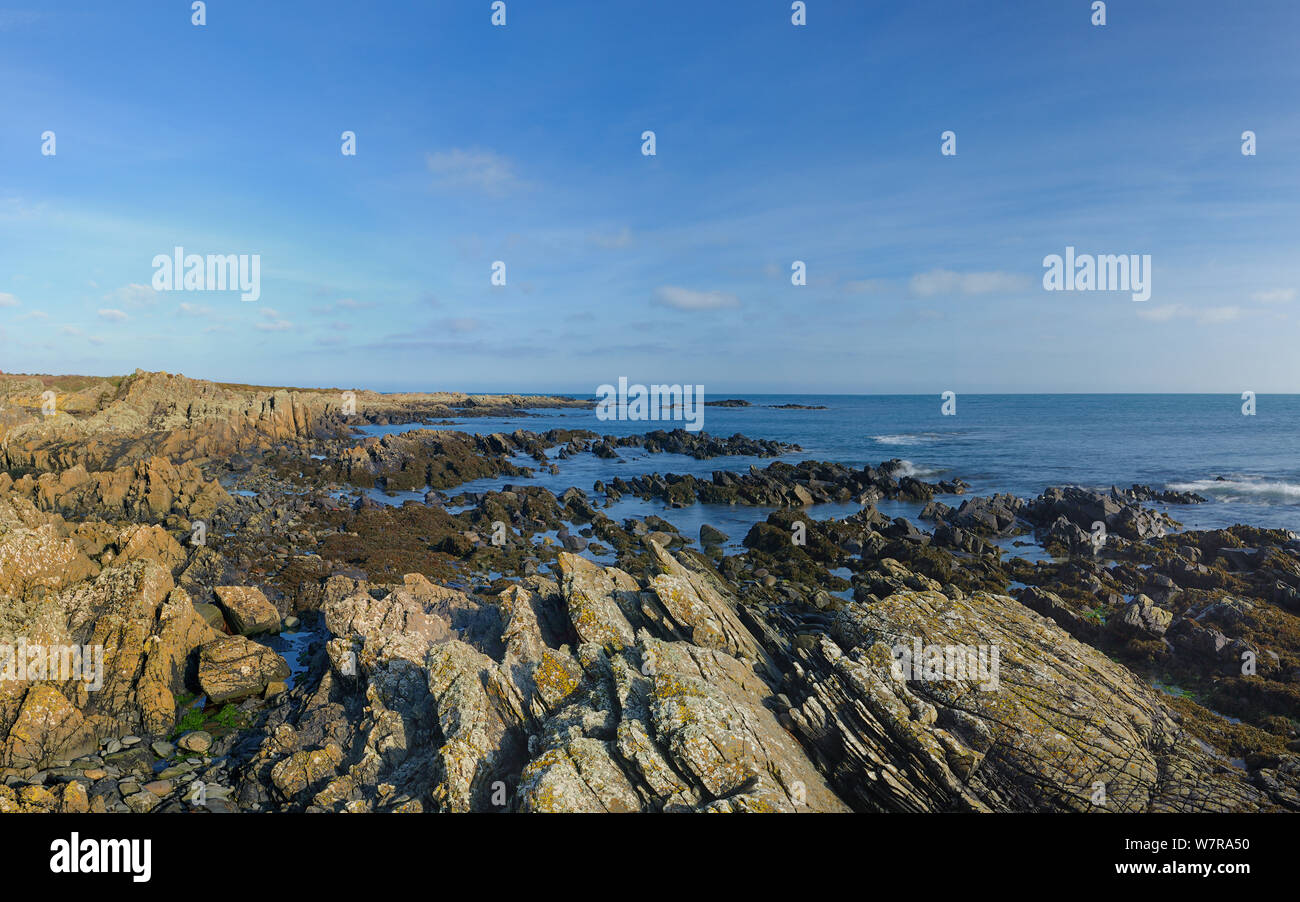 Côte de St John's Point, près de Kilough, comté de Down, Irlande du Nord, février Banque D'Images