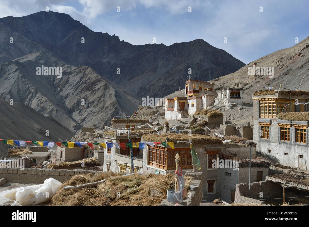 Village de Rumbak, Rumbak, Hemis NP, à une altitude de 4100m, Ladakh, Inde, Octobre 2012 Banque D'Images