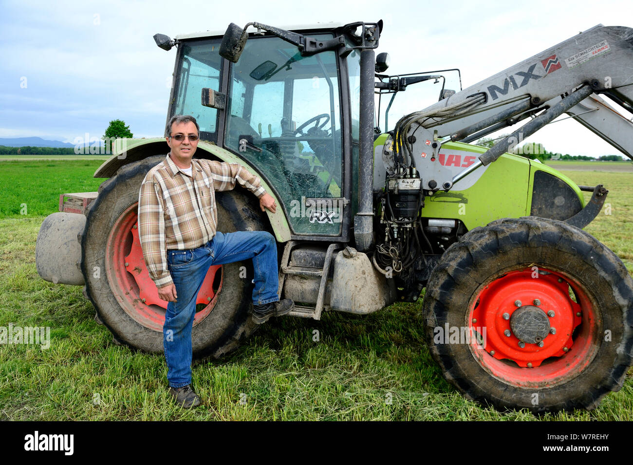 Christian Schmitt, Christian Schmitt, un hamster commun friendly farmer, en face de son tracteur dans un champ de blé, l'Elsenheim, Alsace, France, mai 2013 Banque D'Images