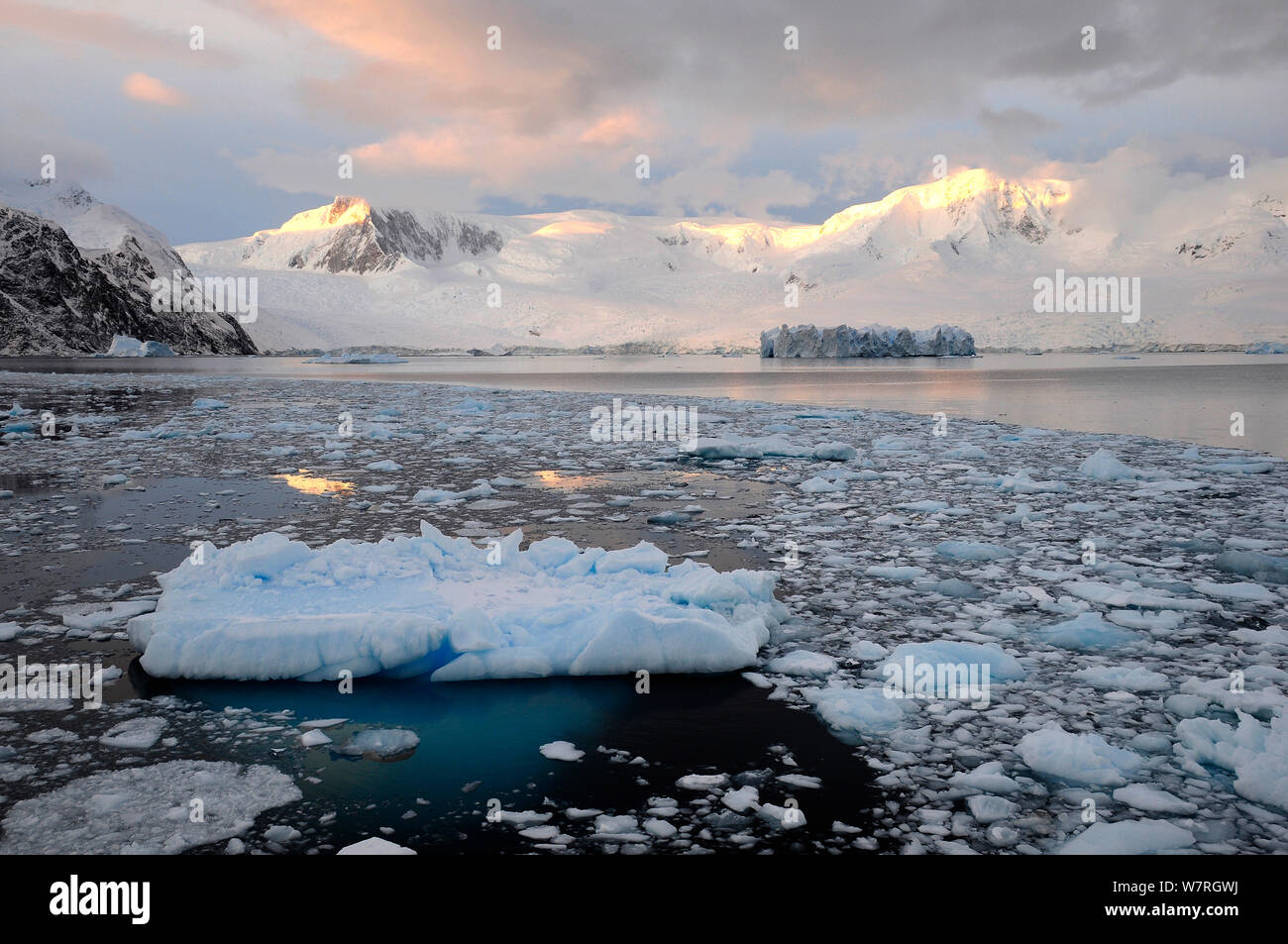 La glace de mer sur la côte de la péninsule Antarctique, l'Antarctique. Banque D'Images