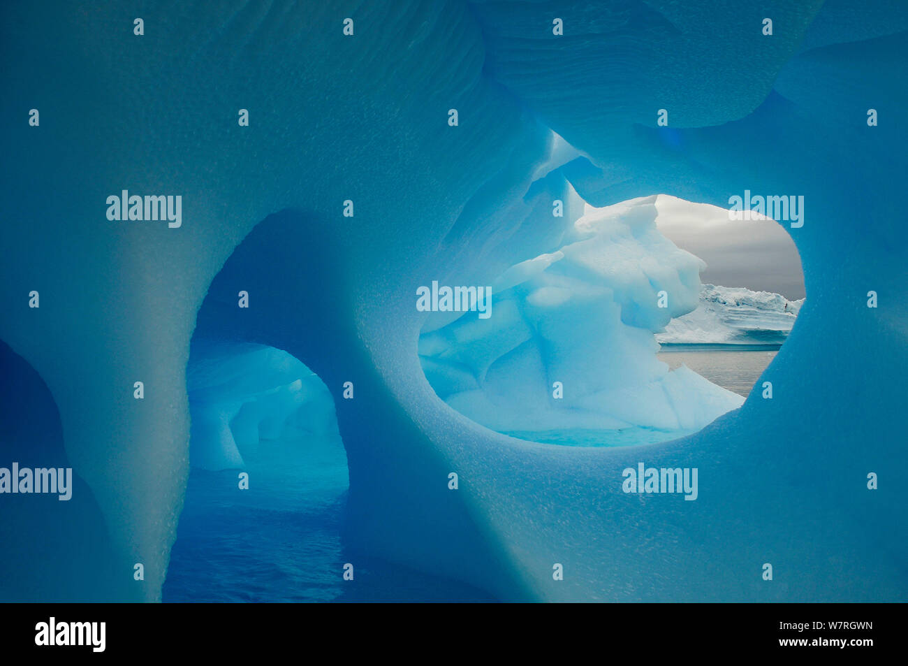 Les icebergs avec des trous dans la glace, d'Icebergs, Pleneau Island, l'Antarctique. Banque D'Images Les icebergs avec des trous dans la glace, d'Icebergs, Pleneau Island, l'Antarctique. Banque D'Images