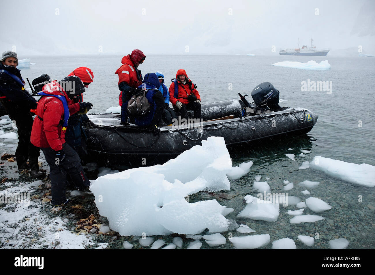 Les touristes débarquant d'zodiac avec un paquebot de croisière antarctique Ushuaia 'MV' dans le contexte de la péninsule Antarctique, l'Antarctique Banque D'Images