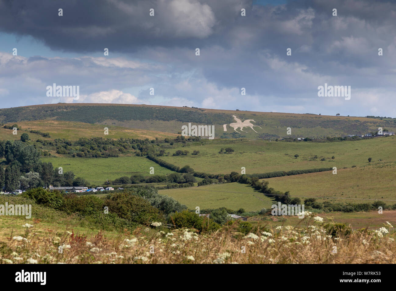 Osmington cheval blanc sur la colline dans la campagne anglaise Banque D'Images