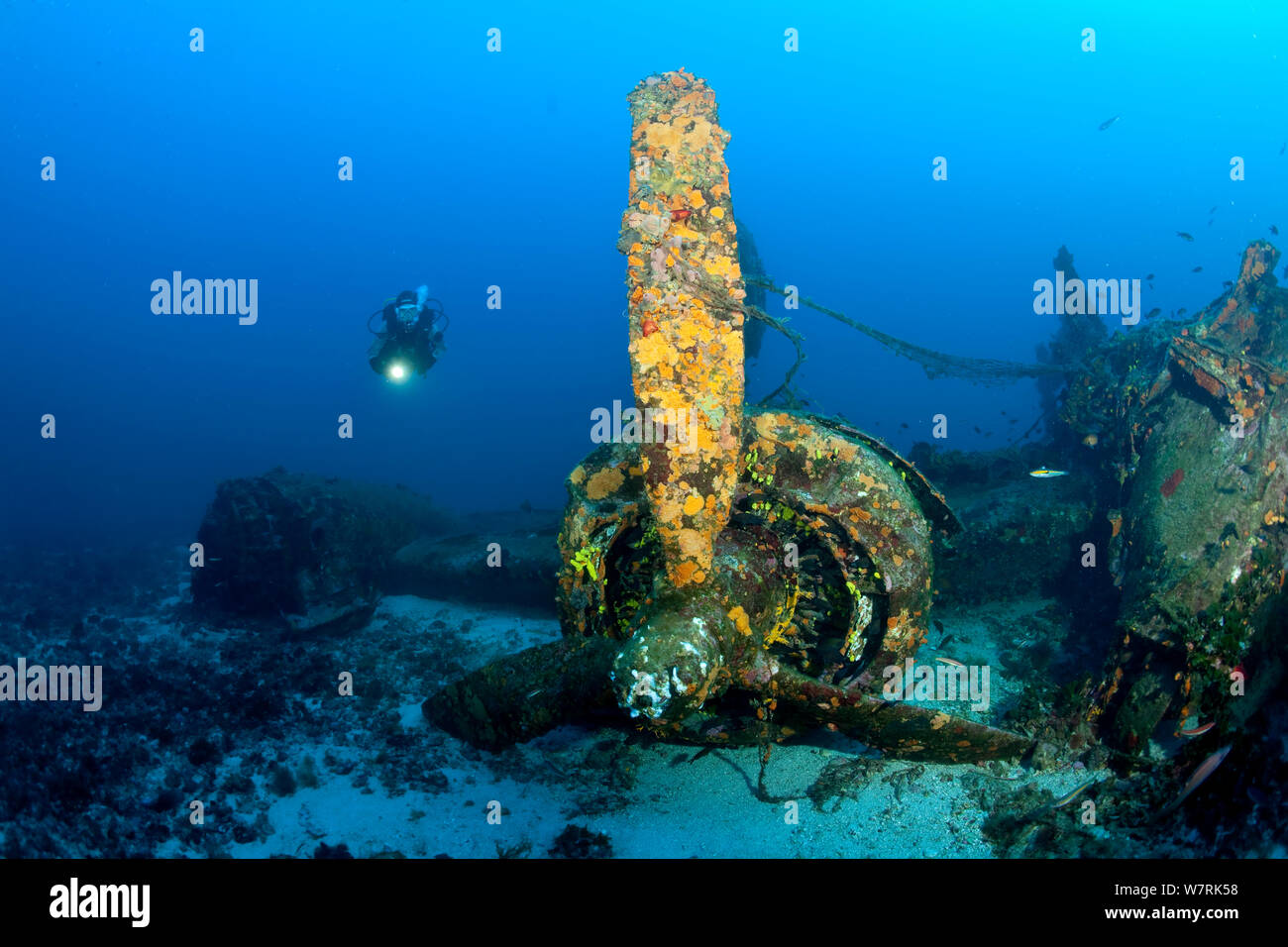 Scuba Diver à explorer l'épave de l'avion "B-24 Liberator' l'île de Vis, Croatie, Mer Adriatique, Mer Méditerranée Banque D'Images