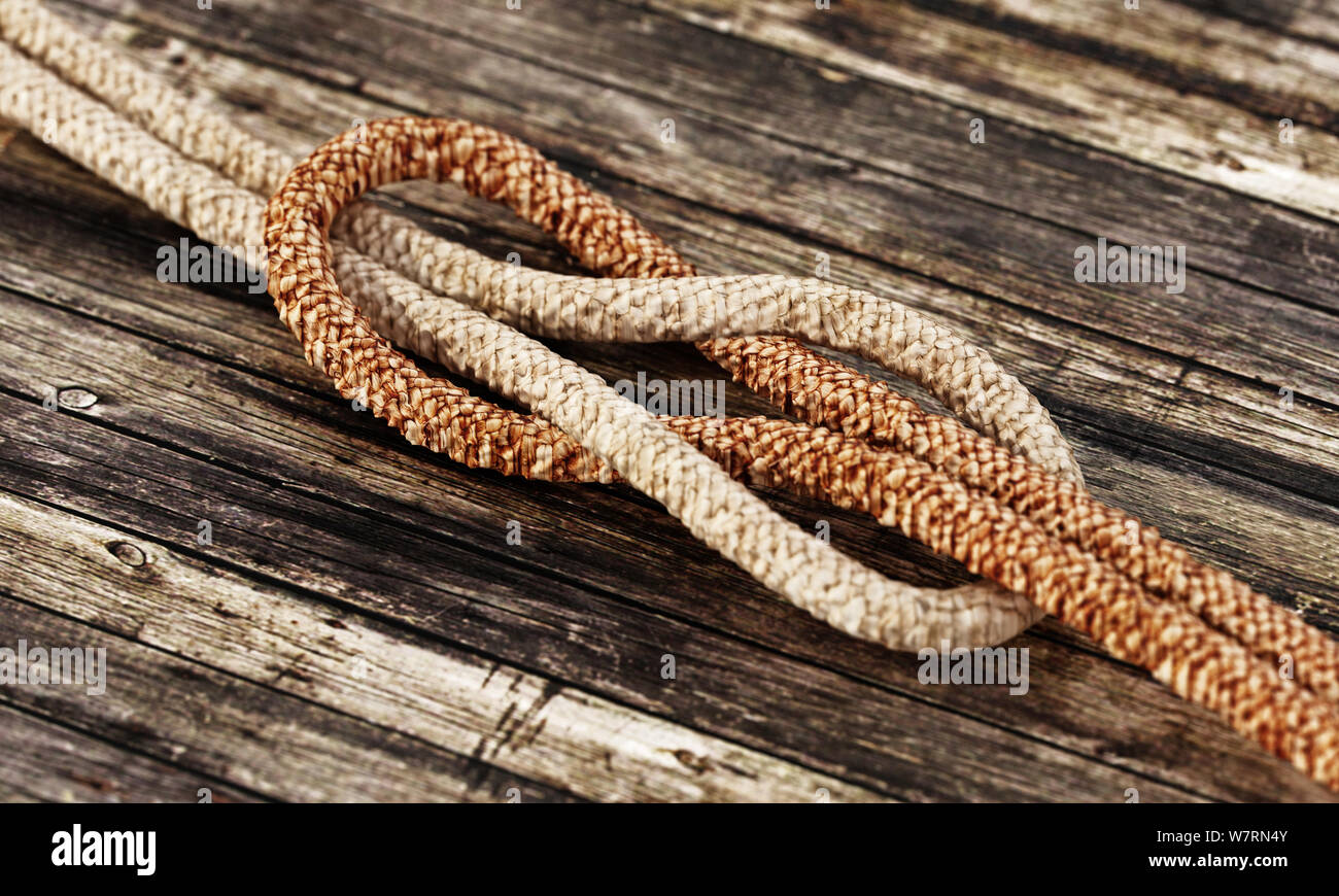 Cordes attachées debout sur fond de bois. 3D illustration. Banque D'Images