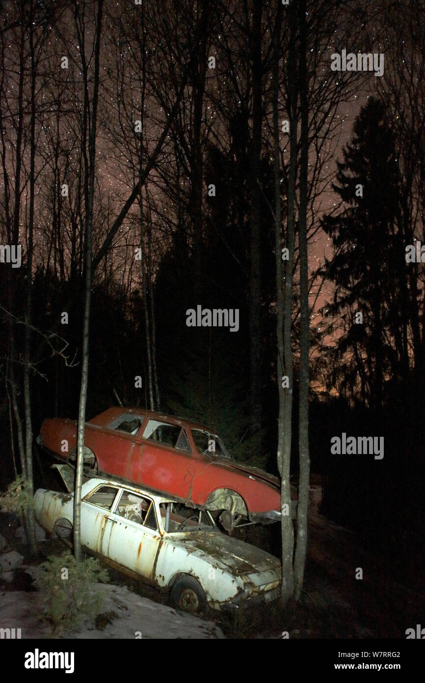 Vieilles voitures abandonnées empilés sur au sommet de l'autre en voiture 'cimetière' la nuit, avril, la Suède Bastnas Banque D'Images
