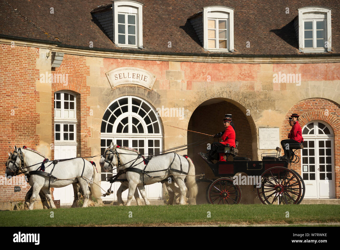 Le drivingr (en noir) et toilette (en rouge) de le Haras du Pin, haras national le plus ancien de France, conduisant quatre chevaux percherons, mis à profit pour une pause, dans la cour d'honneur, au Pin-au-Haras, Orne, Basse-Normandie, France. Juillet 2013 Banque D'Images