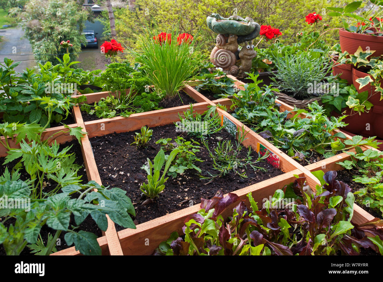 Pieds carrés, le jardin avec des fleurs, des herbes et des légumes en boîte bois sur balcon, Belgique. Mai 2013. Banque D'Images
