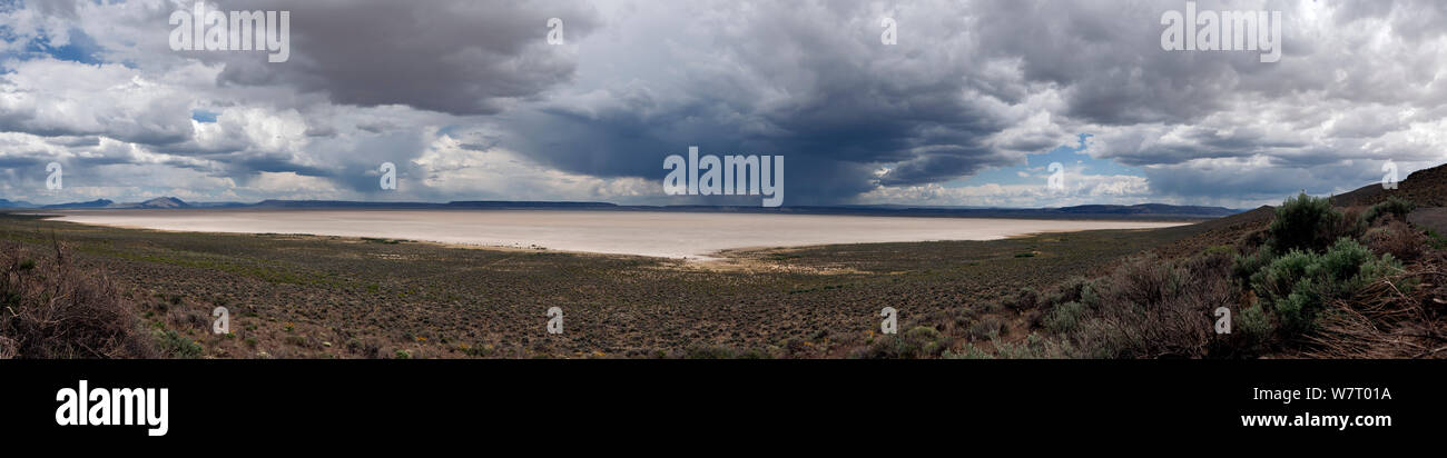 Vue panoramique de nuages sur l'Alvord Desert, Oregon, USA. Mai 2013. Banque D'Images