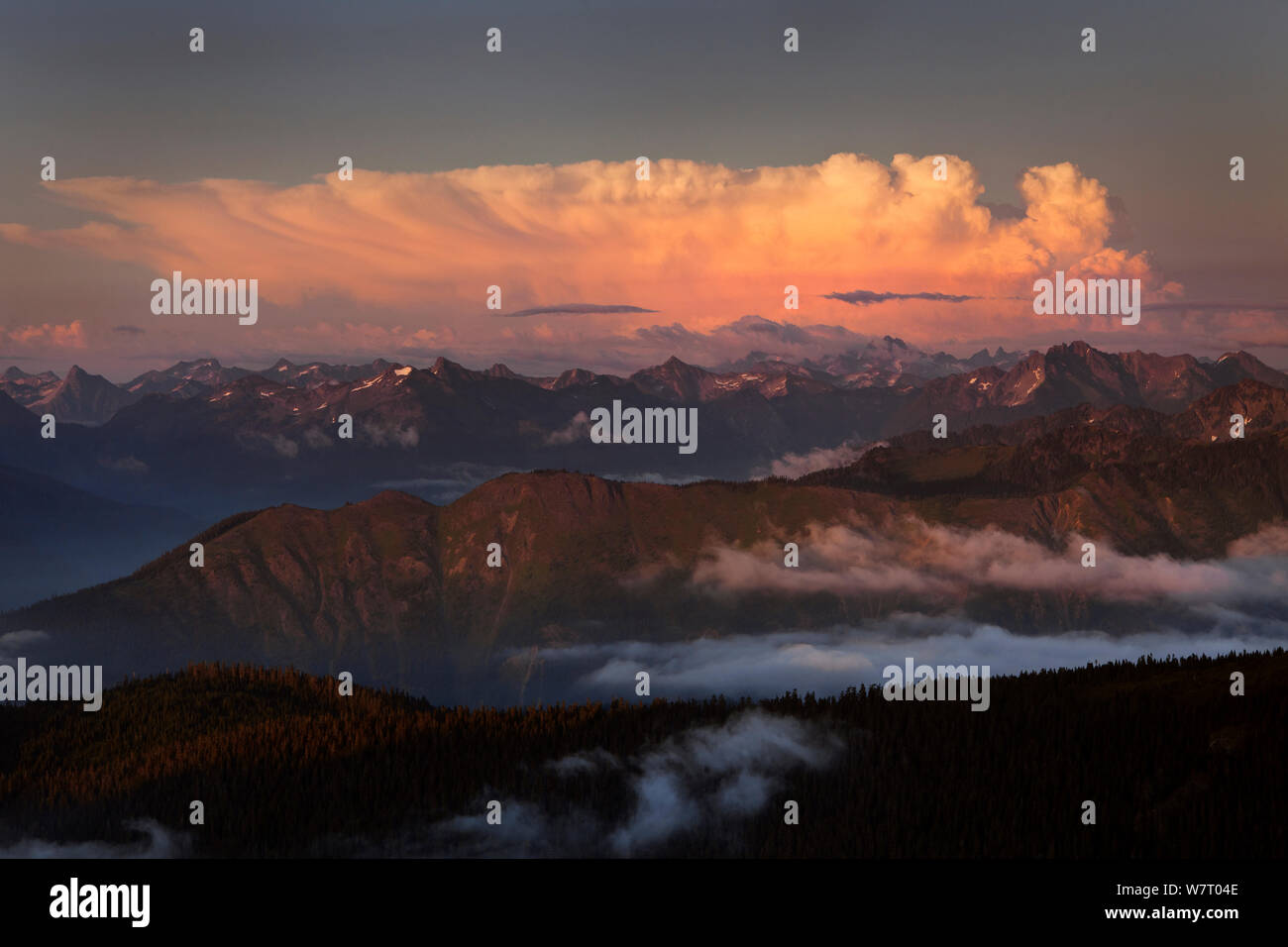 Les Cascades nord, au crépuscule, en vue de Skyline Ridge dans le mont Baker Wilderness, Washington, USA, août 2013. Banque D'Images