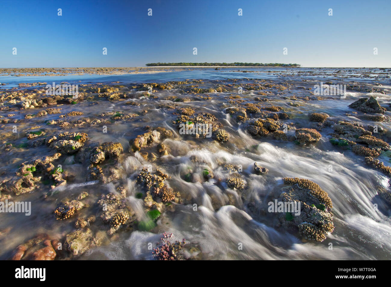 L'île Heron récif à marée basse, exposant les coraux le sud de la Grande Barrière de Corail, Queensland, Australie. Banque D'Images