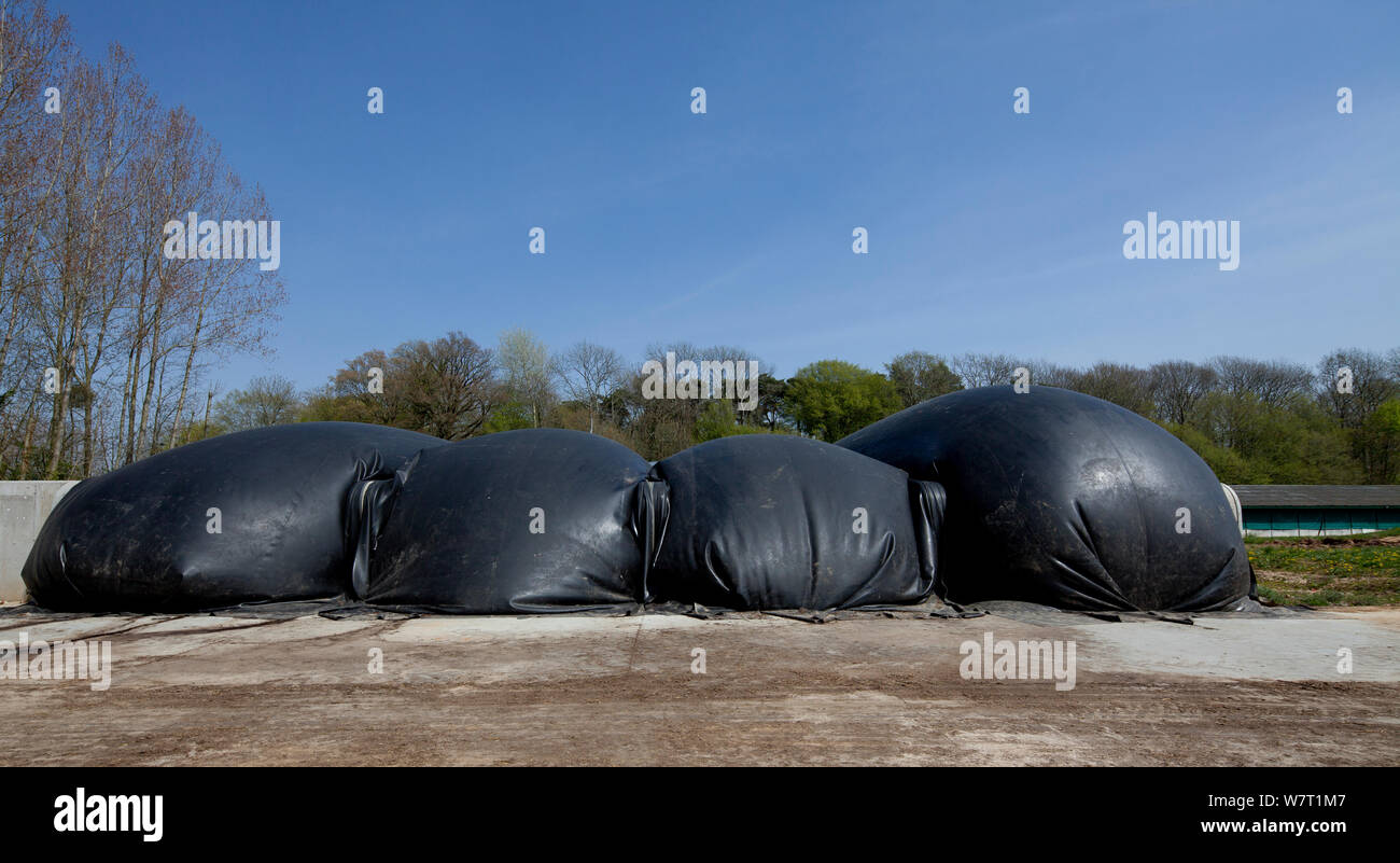 Sacs de toile contenant du méthane du gonflage sur une dalle de béton, une partie d'un processus de production de biogaz, Espagne, janvier 2013. Banque D'Images