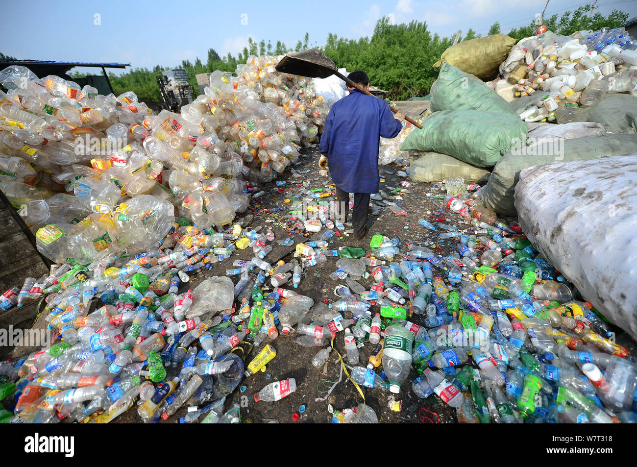 Un travailleur chinois promenades à travers des tas de bouteilles en plastique à la bouteille en plastique de recyclage, qui piège un homme, dans la ville de Ji'nan, East China' Banque D'Images