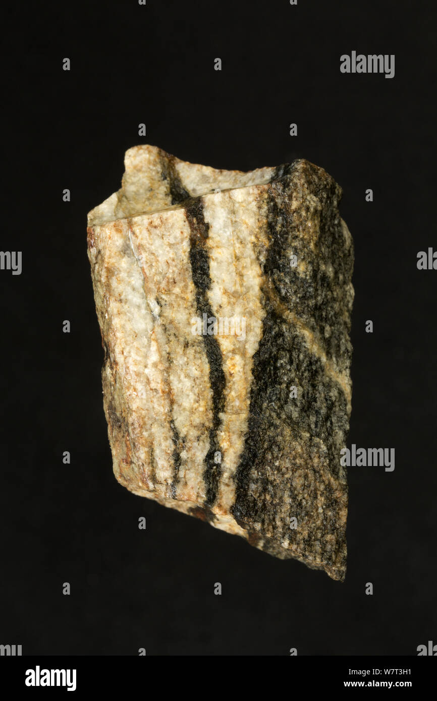 Les gneiss, d'une roche métamorphique, à partir de la Caroline du Nord, USA. Banque D'Images