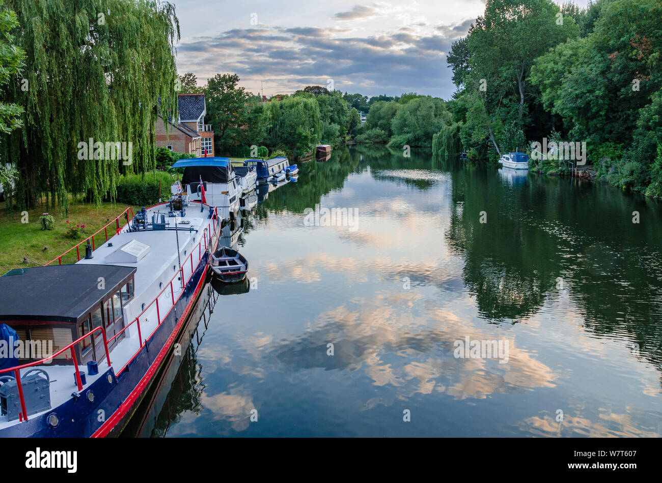 Bateaux amarrés le long du bord de la Tamise à Pangbourne dans West Berkshire, Royaume-Uni Banque D'Images