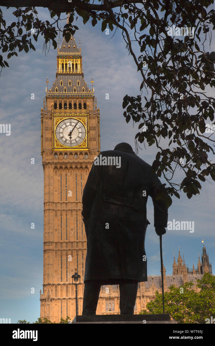 Chambres du Parlement et la statue de Winston Churchill, Westminster, Londres, juin 2013. Banque D'Images