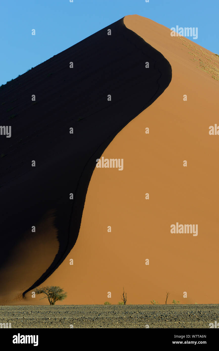 Les modèles de Ombres et lumière sur les dunes de sable, Sossusvlei, Namib-Naukluft National Park, la Namibie. Banque D'Images