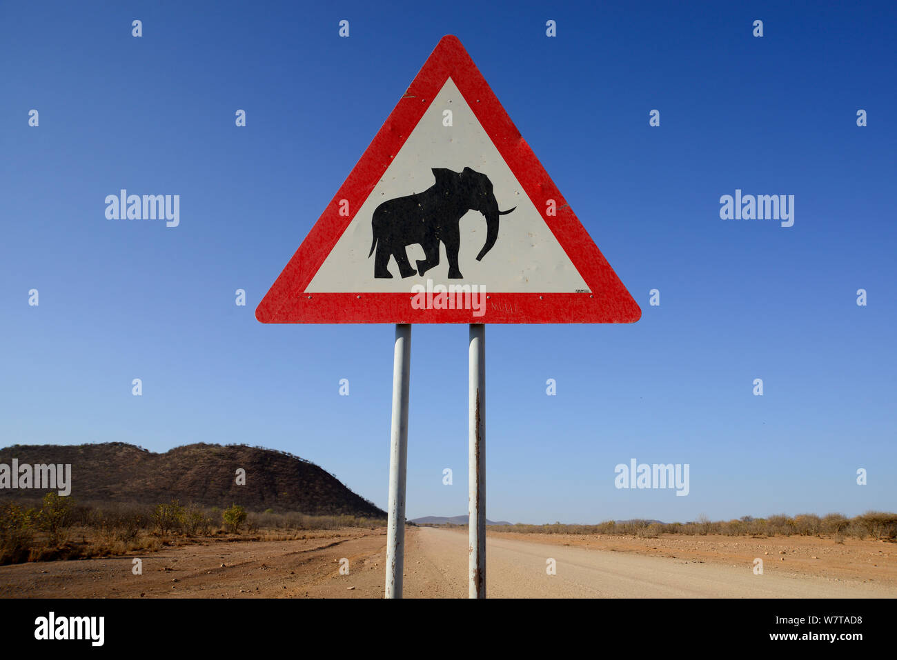 Signe de route Avertissement d'éléphants sauvages, Namibie, septembre 2013. Banque D'Images