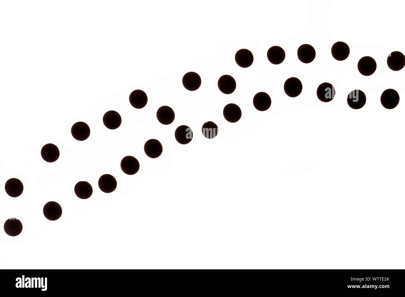 Crapaud commun (Bufo bufo) oeufs / toadspawn, Barnt Green, Worcestershire, Angleterre, avril. Projet d'Meetyourneighbors.net Banque D'Images