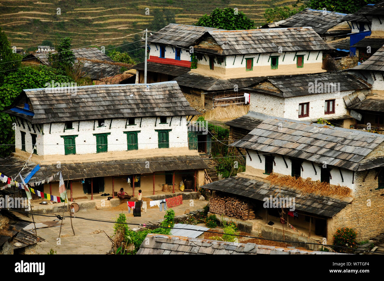 Ghandruk (Village à une altitude de 1990m), sanctuaire de l'Annapurna Népal central, novembre 2011. Banque D'Images
