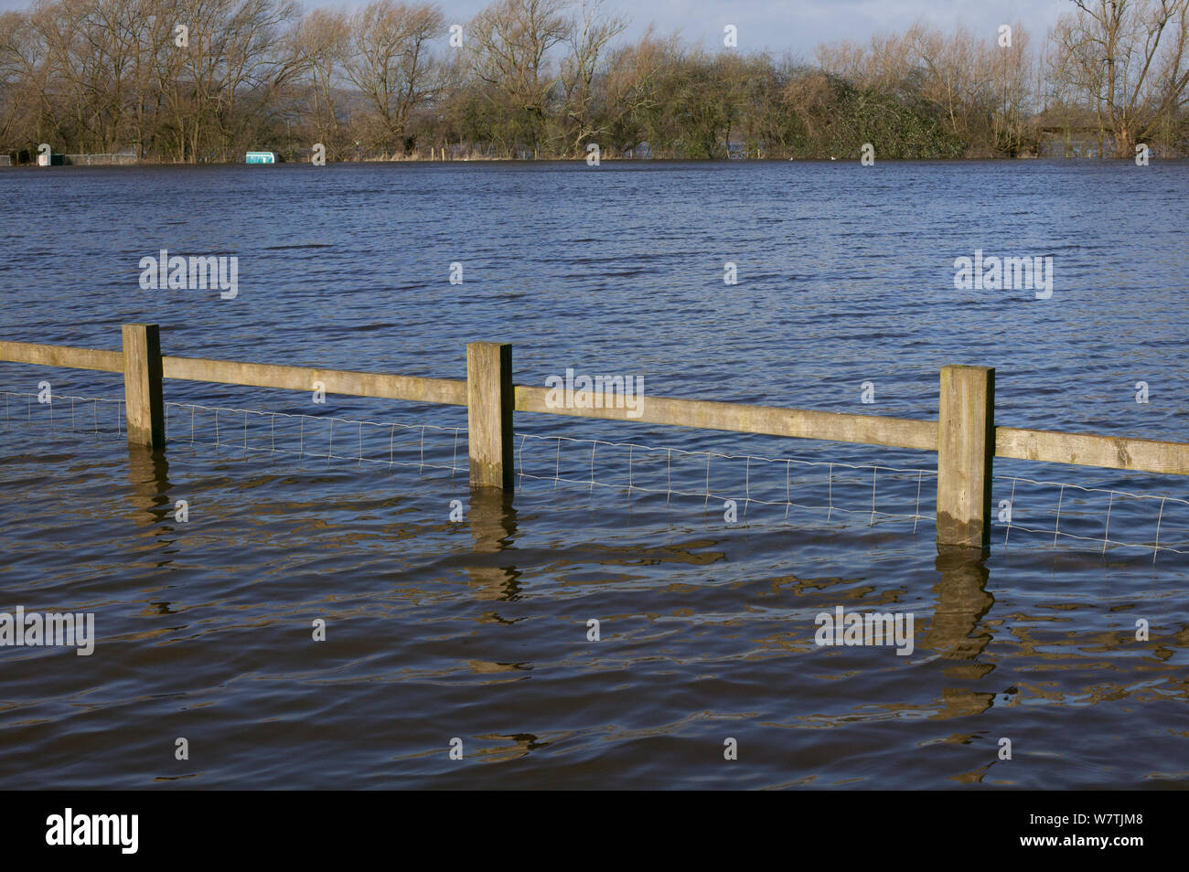 Camping site inondées pendant les inondations de février 2014 fleuve Severn, Upton sur Severn, Worcestershire, Angleterre, Royaume-Uni, le 8 février 2014. Banque D'Images
