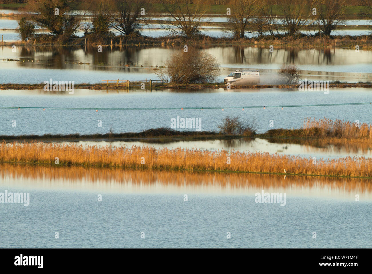 Van en passant par les inondations dans les niveaux de Somerset Janvier 2014 près de Burrowbridge, Angleterre, Royaume-Uni, 11 janvier 2014. Banque D'Images