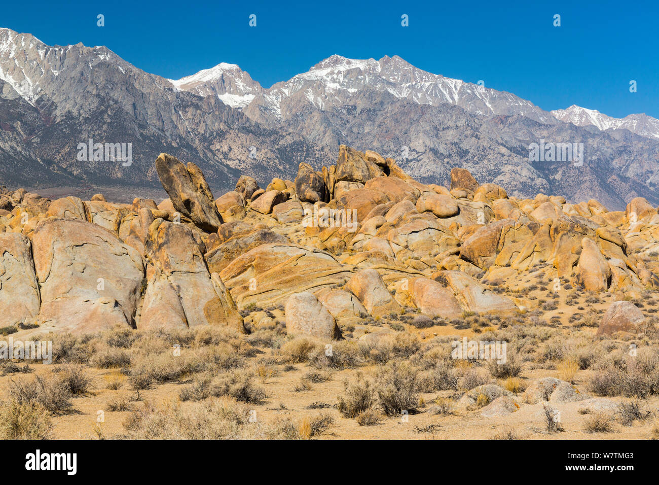 Paysage à Alabama Hills, Owens Valley, Californie, USA, mars 2013. Banque D'Images