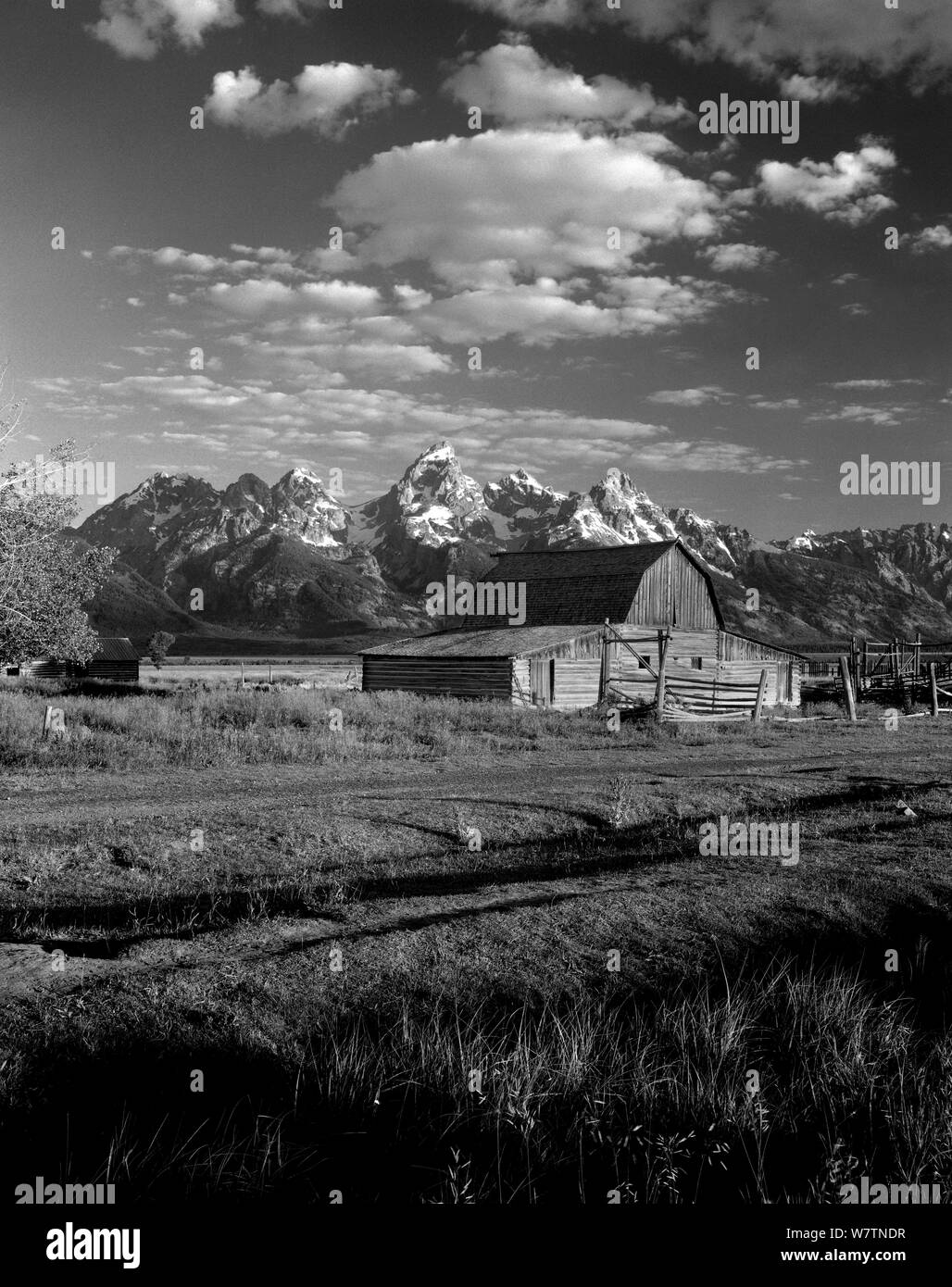 Photographie en noir et blanc d'barn le long de Mormon Road dans le Grand Teton National Park, Wyoming, USA. Banque D'Images