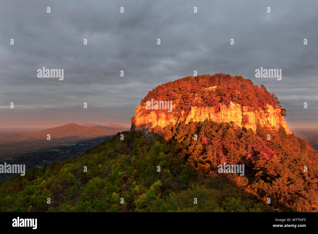 Coucher du soleil sur la montagne Pilote, Pilot Mountain State Park. North Carolina, USA, octobre 2013. Banque D'Images