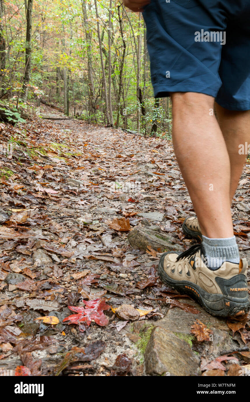 Pieds de randonneur sur le mur de Moore fait partie de la boucle de la montagne à la mer dans la région de hanging Rock Trail State Park. North Carolina, USA, octobre 2013. Banque D'Images