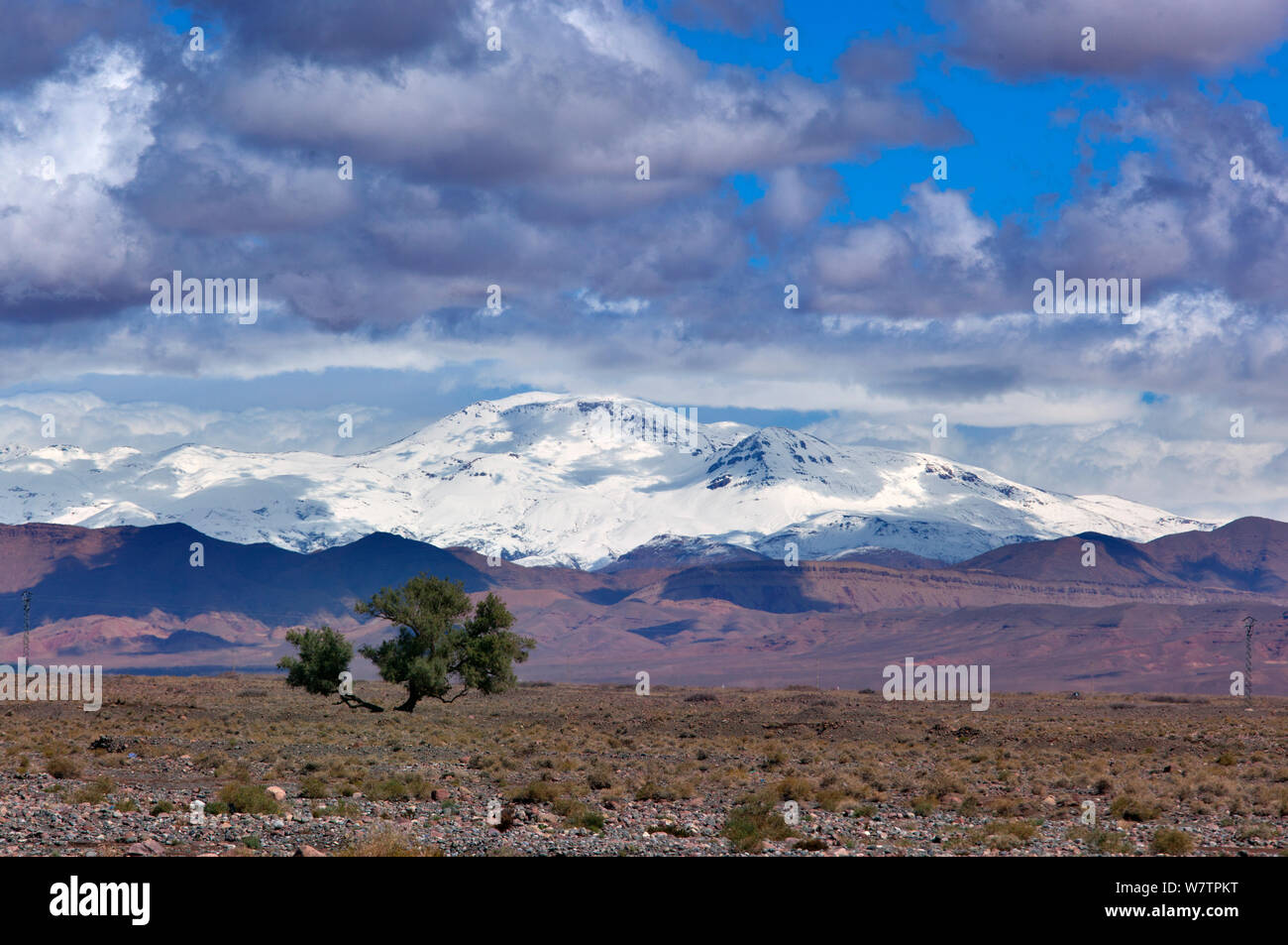 Montagnes de l'Atlas couvertes de neige de Skoura, Maroc, Oasis de l'Afrique du Nord, mars 2011. Banque D'Images
