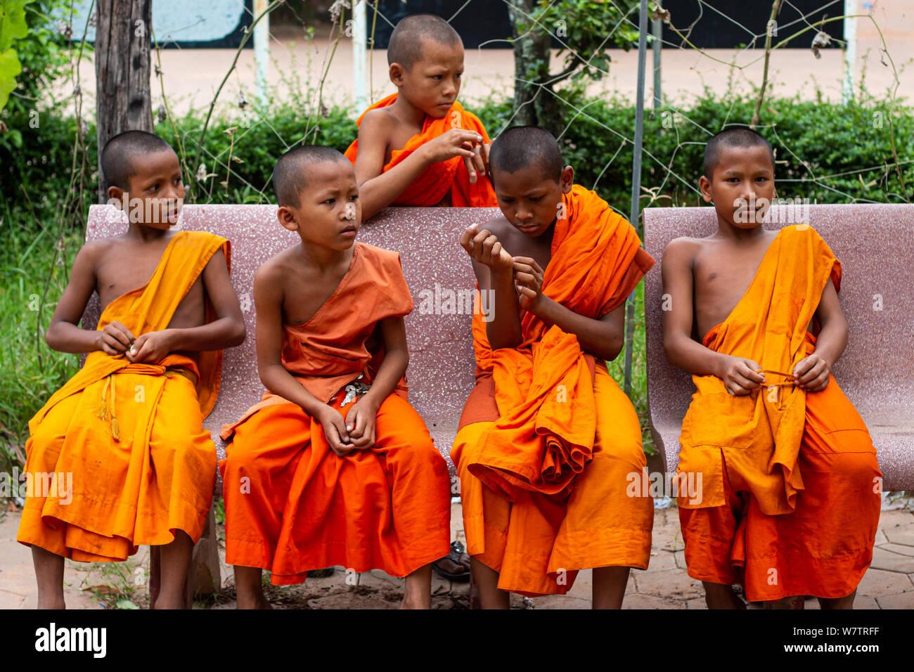 Les jeunes moines bouddhistes dans le temple au Cambodge Banque D'Images