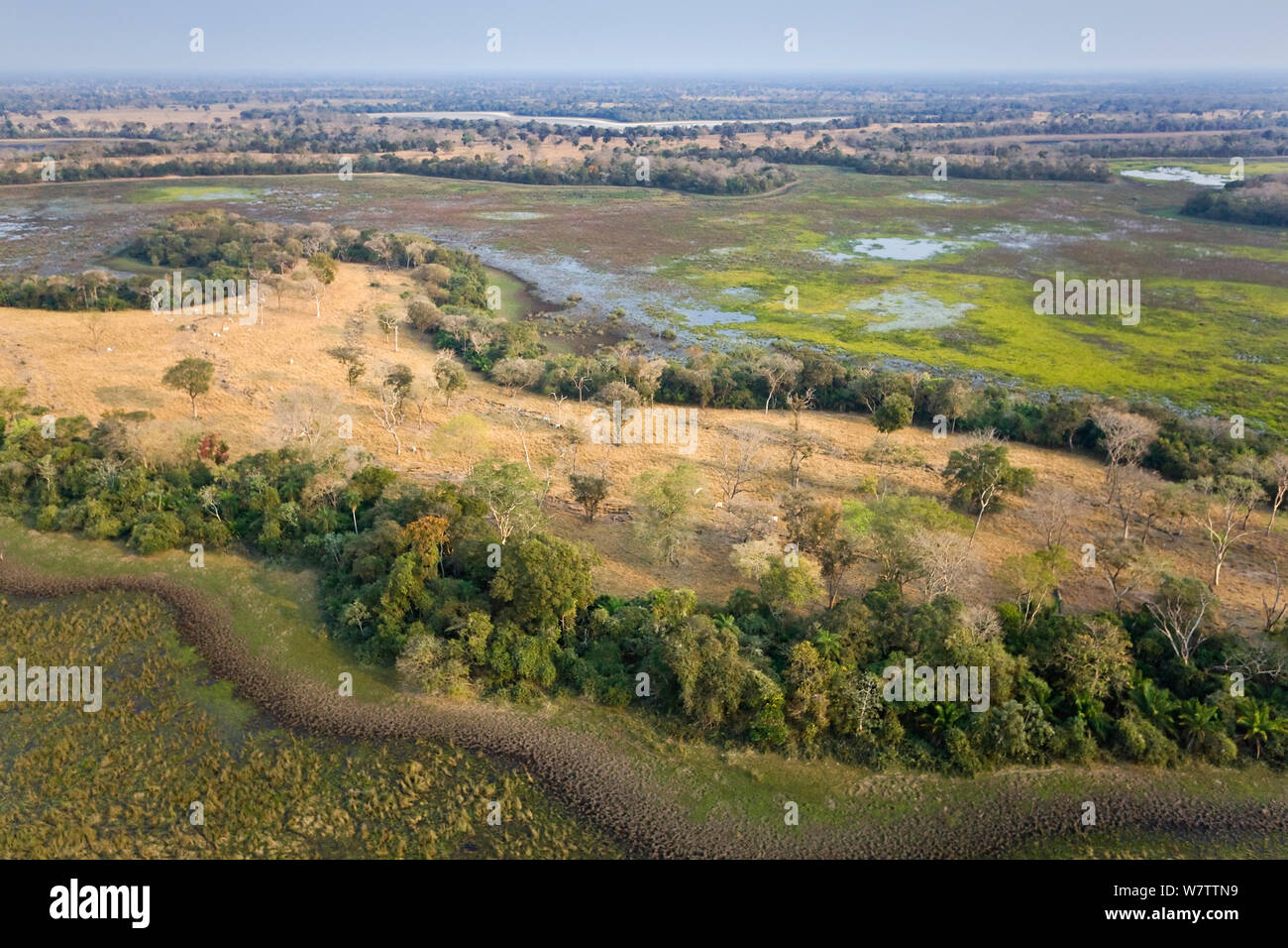 Paysage du Pantanal durant la saison sèche, vue aérienne, Brésil, août 2010. Banque D'Images