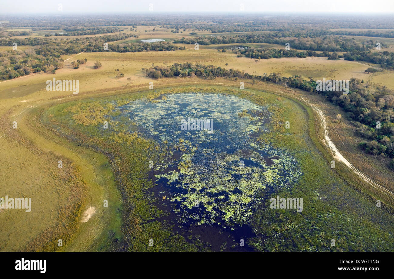 Paysage du Pantanal durant la saison sèche, vue aérienne, Brésil, août 2010. Banque D'Images