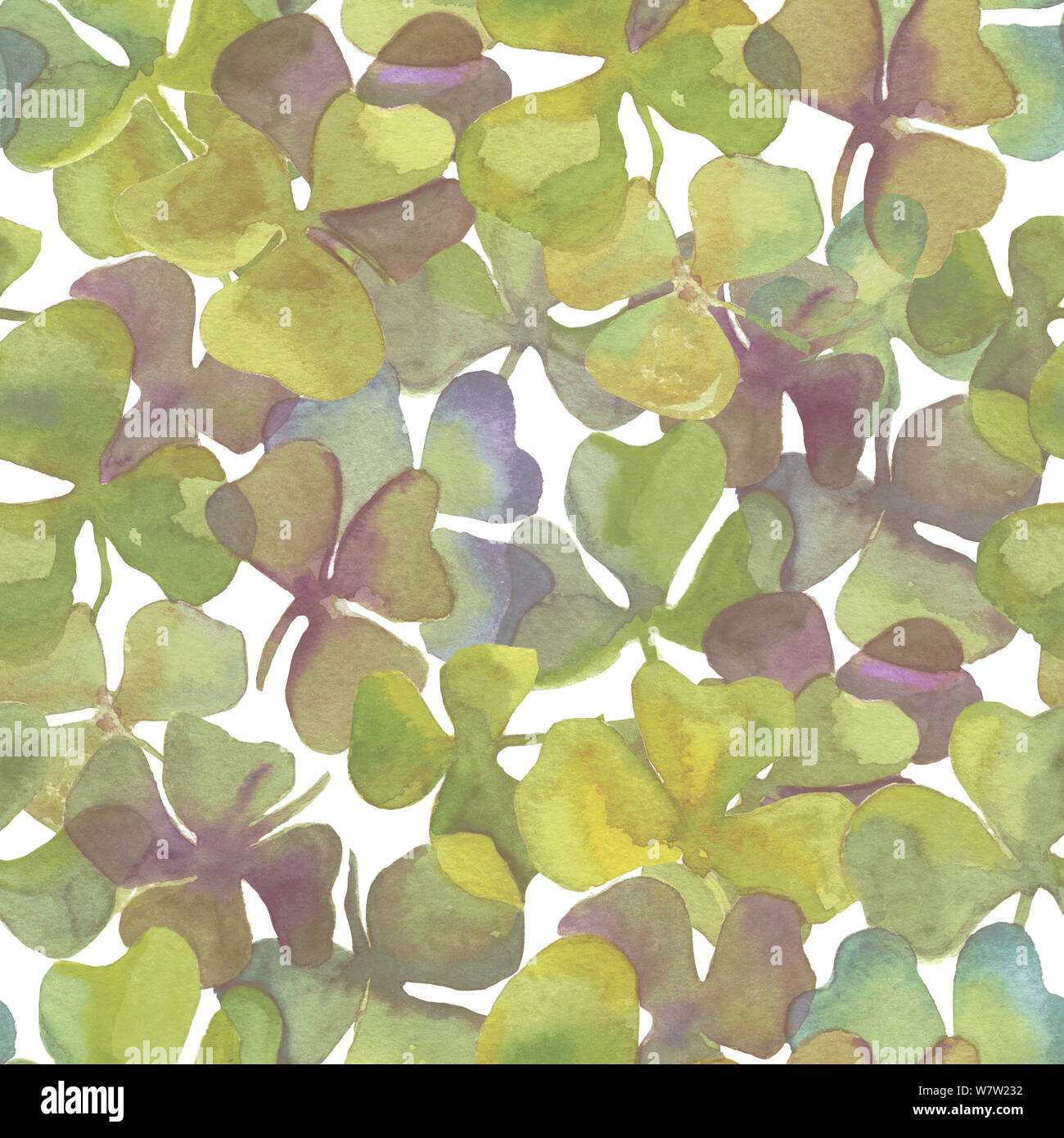 L'aquarelle à la main les feuilles de trèfle en modèle transparent sur fond blanc. Aquarelle vert et bleu couleurs. full frame. Concevoir pour les couvertures, papier peint Banque D'Images
