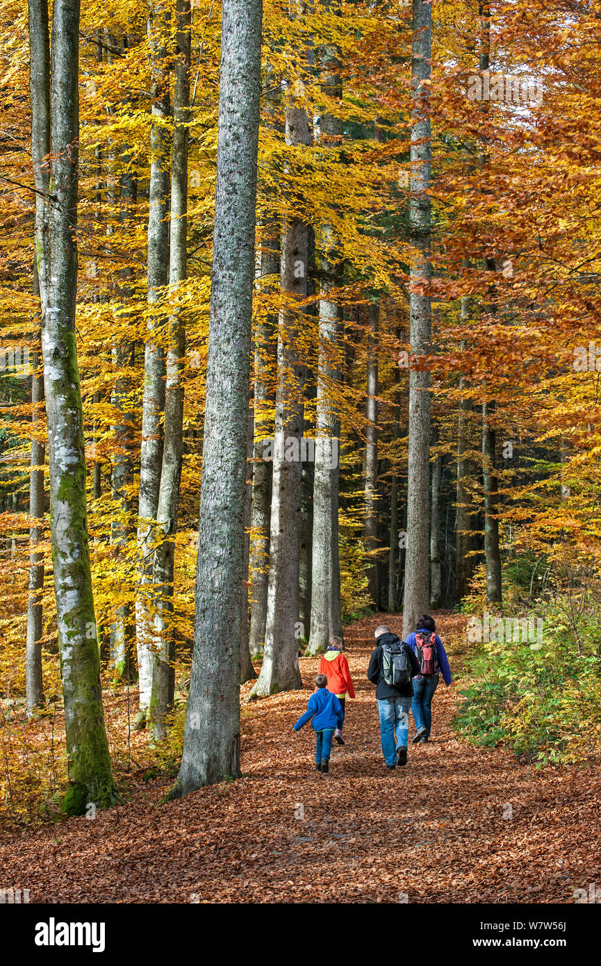 Balades en famille le long d'un chemin dans une forêt feuillue à l'automne, Bayerischer Wald / Parc National de la forêt bavaroise, en Allemagne, en octobre 2013. Banque D'Images