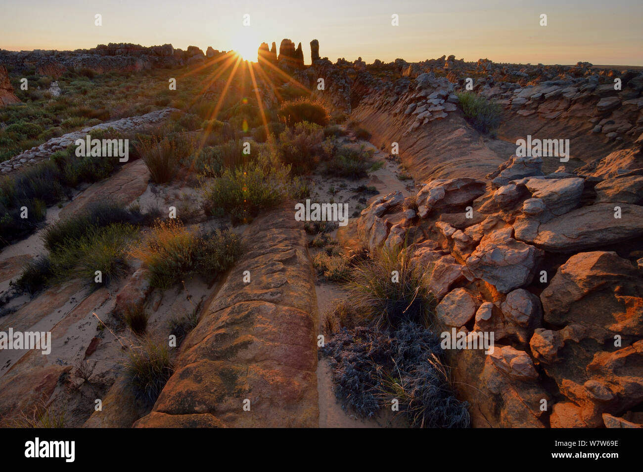 Rock formations au lever du soleil, Kagga Kamma Réserve, montagnes Cederberg, Afrique du Sud, décembre 2012. Banque D'Images