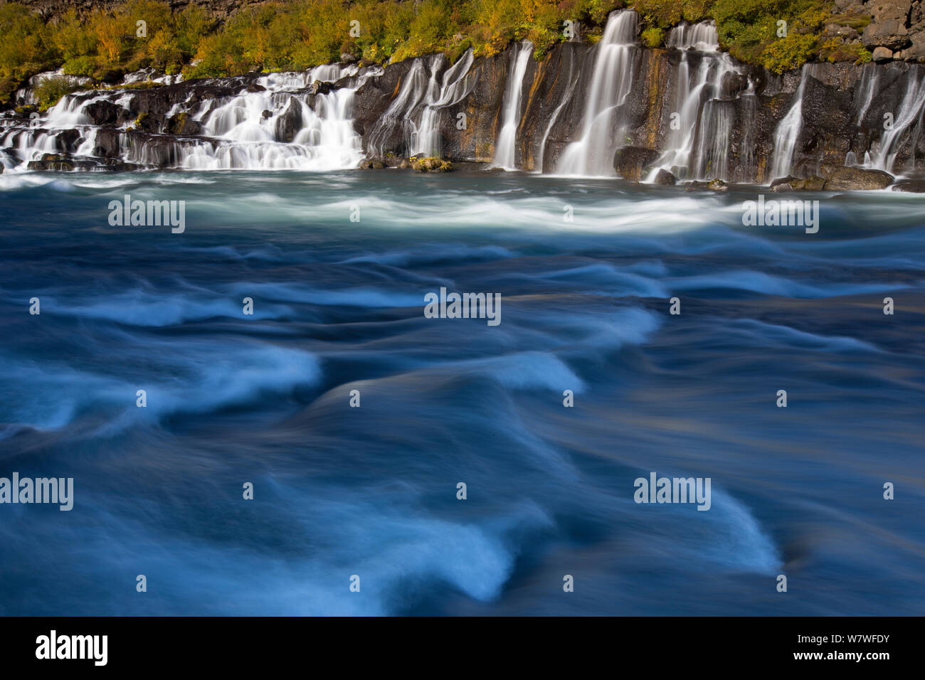 Cascades de Hraunfossar se jeter dans la rivière Hvita en automne, l'Islande, septembre 2013. Banque D'Images